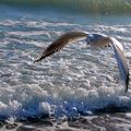 love addiction symptoms